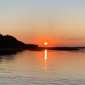 Meet your Posher, Roberta